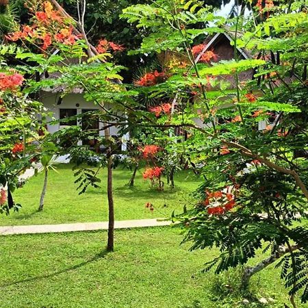 Namaste Bungalows Sakti Buitenkant foto