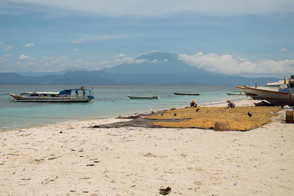 Namaste Bungalows Sakti Buitenkant foto